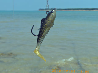 SECRET BARRAMUNDI by Hiro Nakamura: Saturday morning Golden Trevally 26 ...