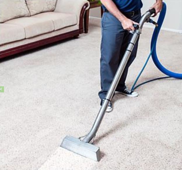 Steam Cleaning Carpets vs Shampooing