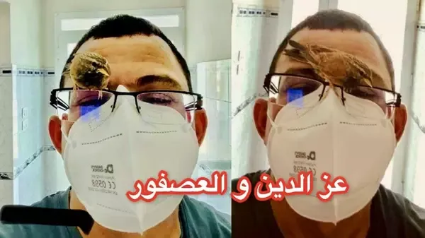 عز الدين و العصفور ، قصة صداقة بين طبيب تونسي و عصفور