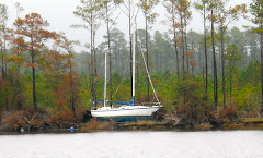 Victim of Hurricane Irene?  Adams Creek, N.C.  so sad to see...