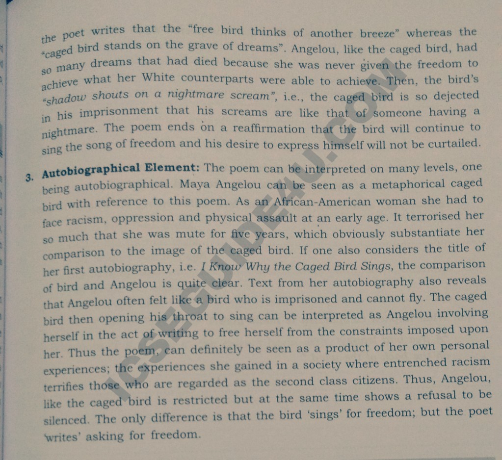 Claudio Marchisio Research Paper Claudio Marchisio Research Paper