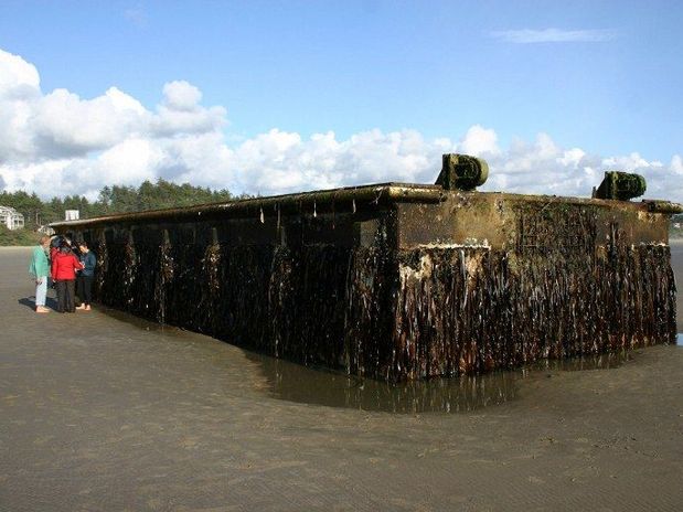 Llega a EE. UU. un muelle flotante arrancado por el tsunami de Japón