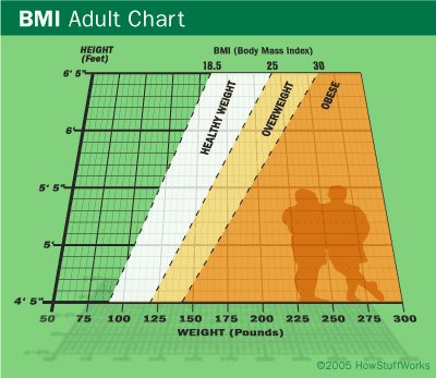 Body Mass Index (BMI) untuk mengukur kandungan lemak dalam badan from premium beautiful shop adibahkarimah