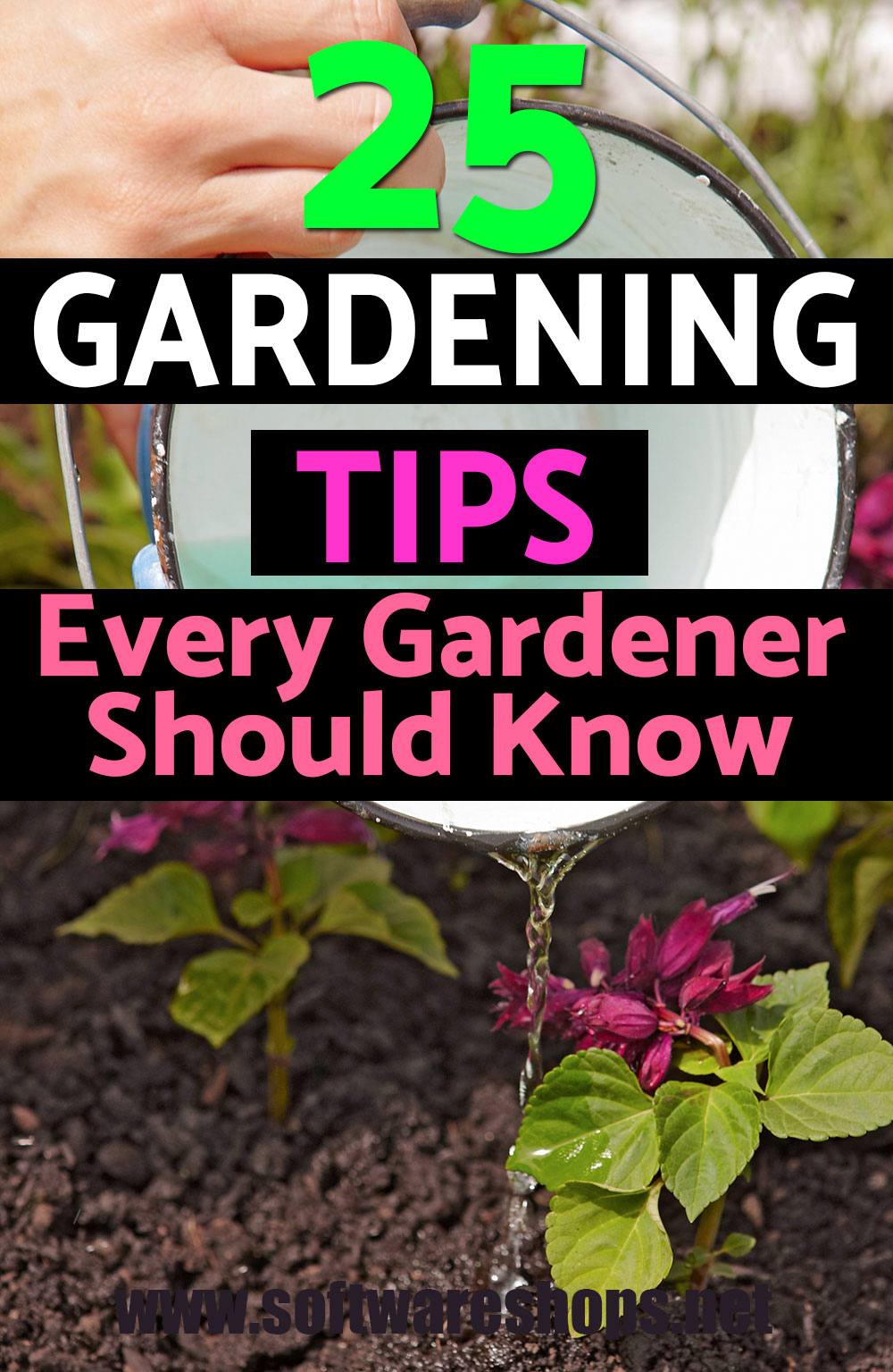 25 best gardening tips