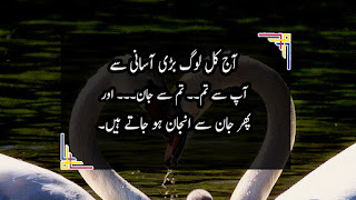 |Urdu Quotes on Life