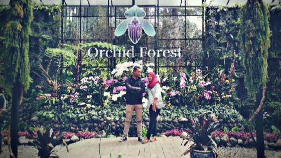 Orchid forest cikole lembang
