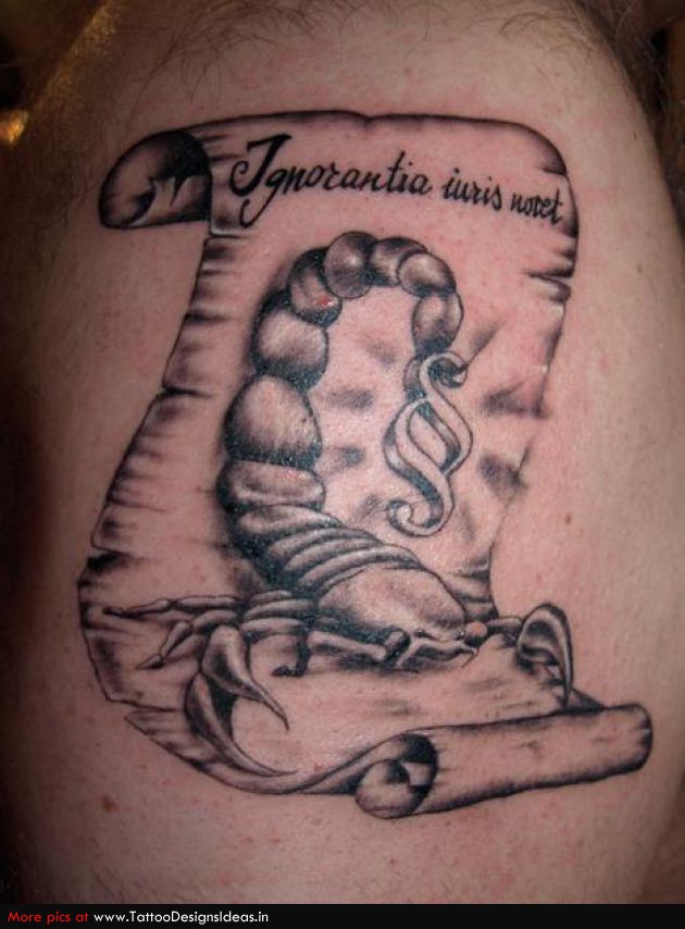 3D Scorpion Tattoo Designs | Tattoo Designs
