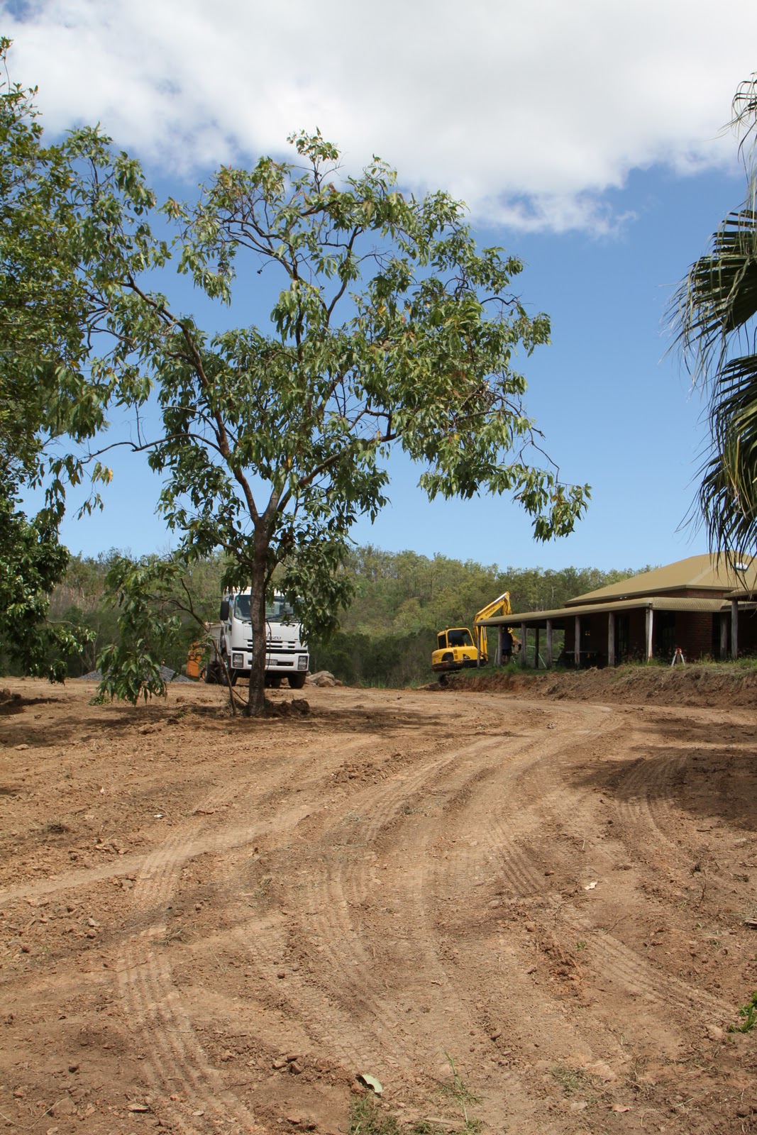 Lindley Park Brahmans