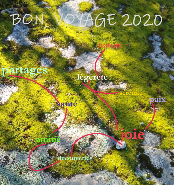 Ma Terre De Bruyere Apres L Orage