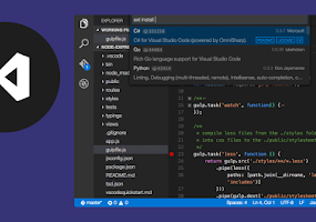 Install_flash_player.exe