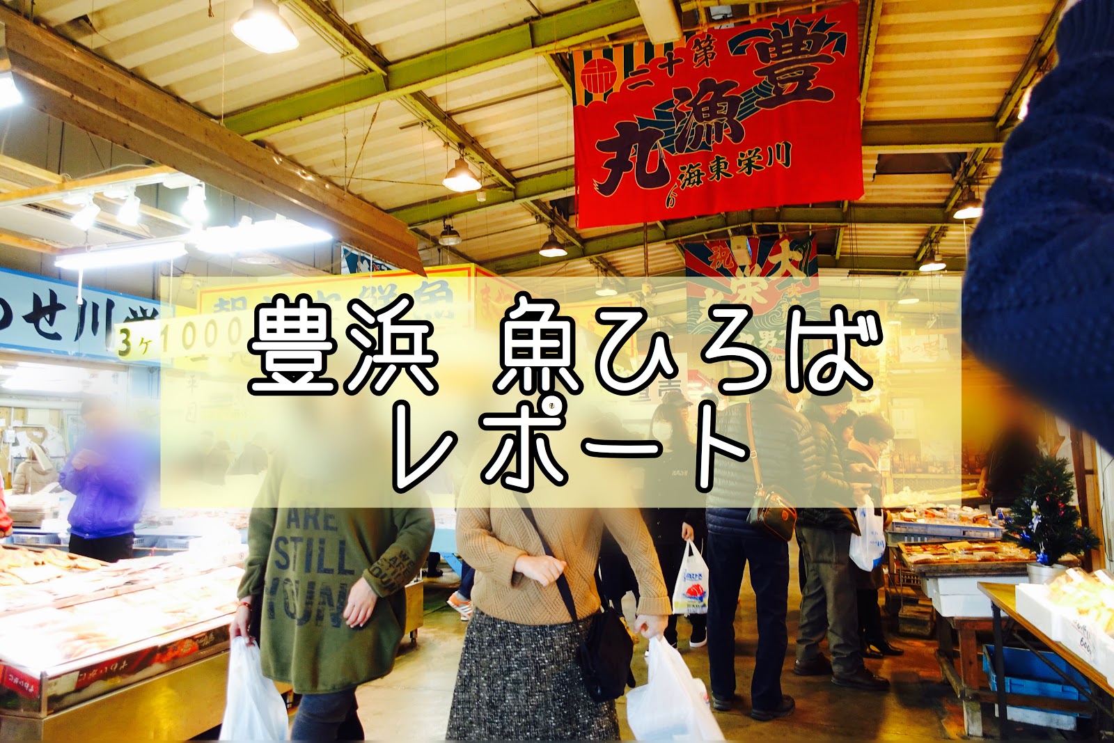 豊浜魚ひろばへ行ってきた お魚いっぱい夢いっぱい お土産もたくさん買ったよレポート ご飯の用意ができました