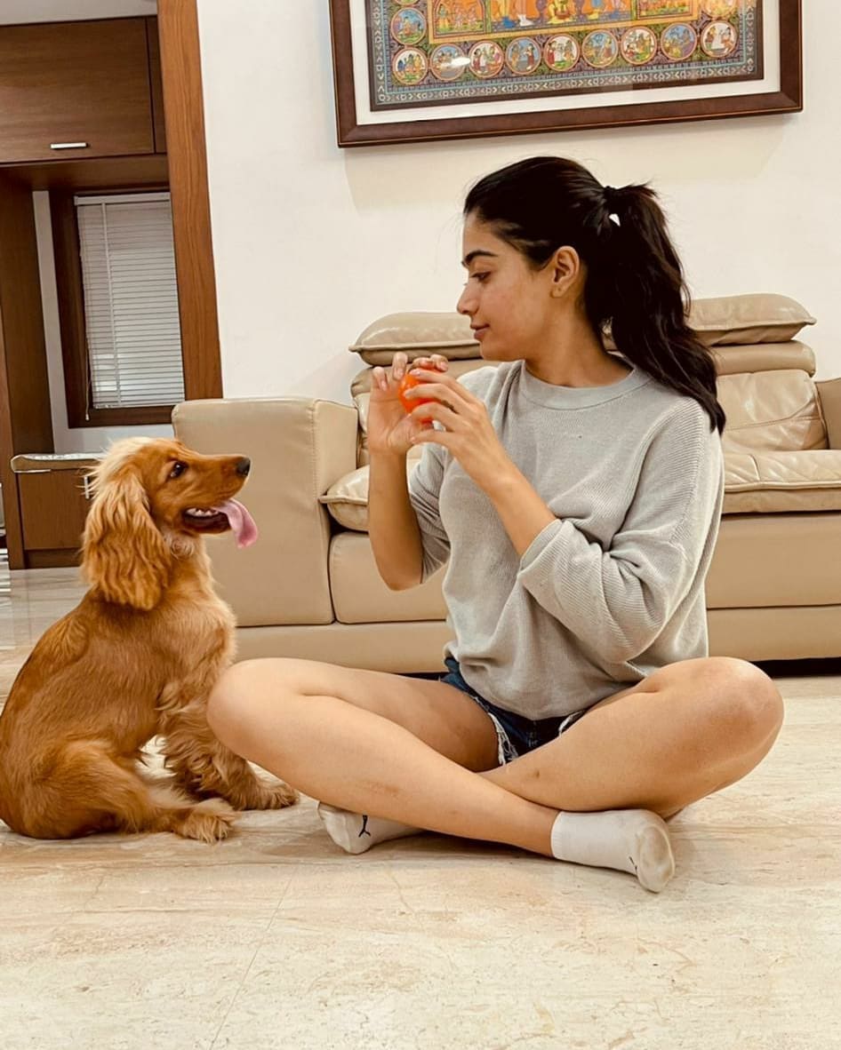 Rashmika Mandanna pic