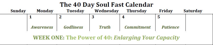 40 day mind fast soul feast free pdf download