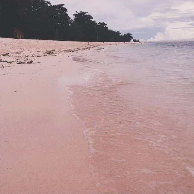  Pink  beach  in Zamboanga City Philippines is one of the 