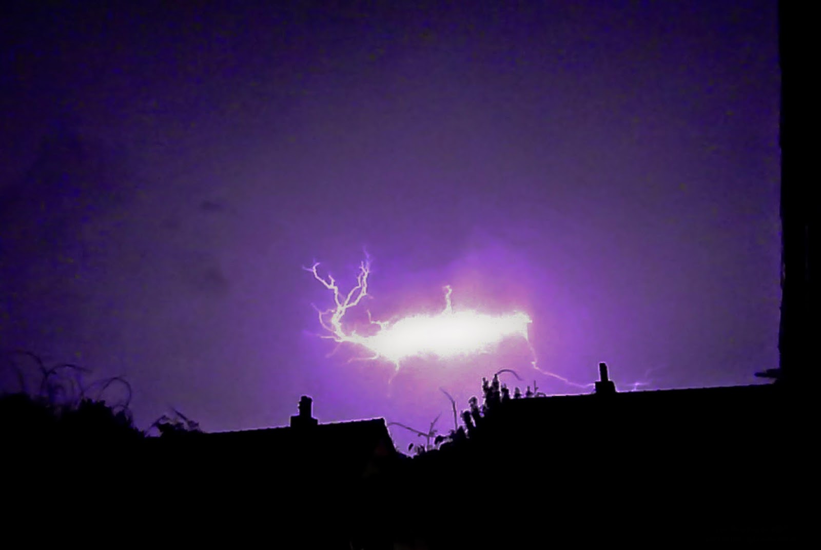 Ball Lightning Elixir Of Knowledge