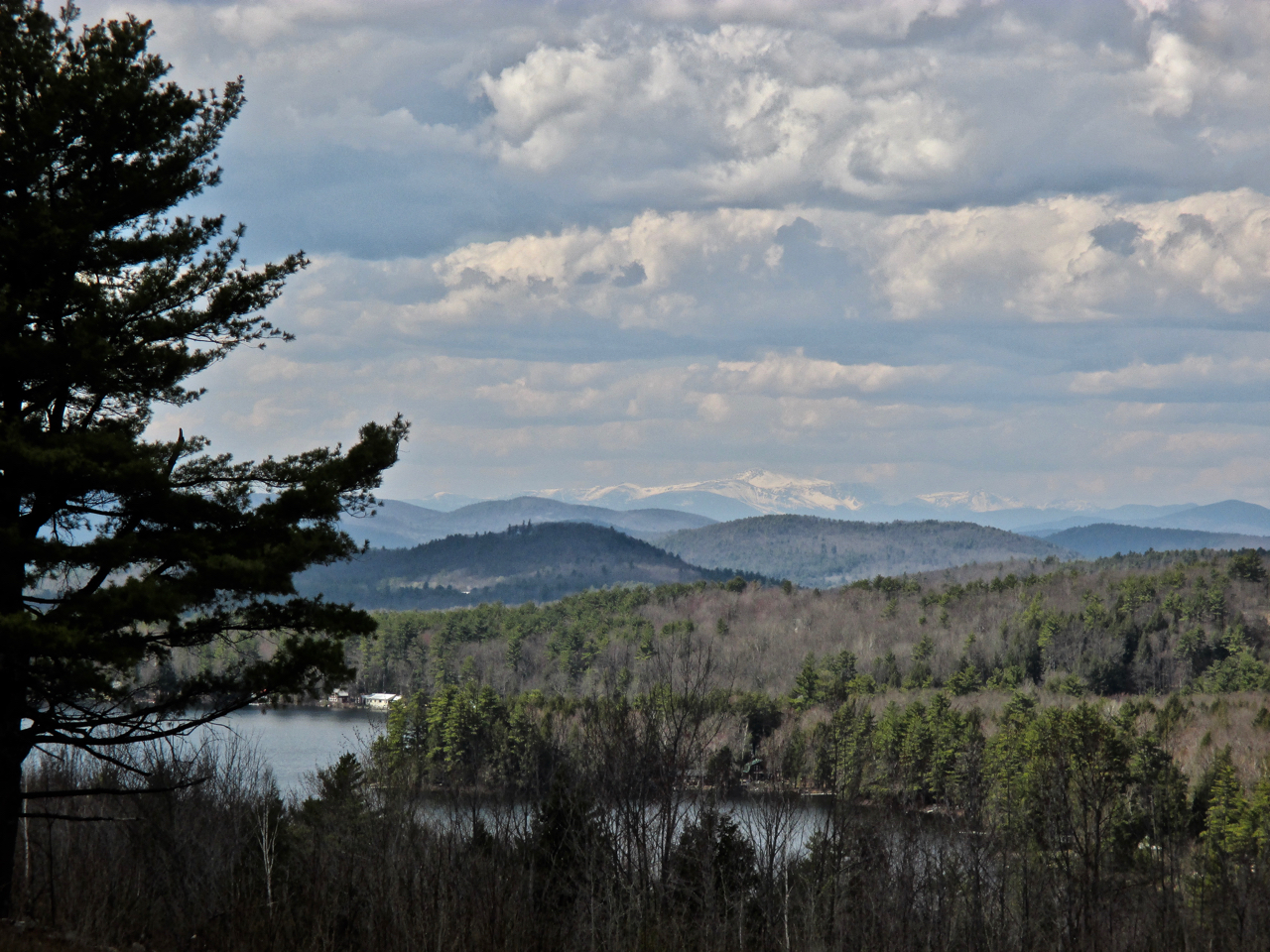 Foxes Ridge foxes-ridge