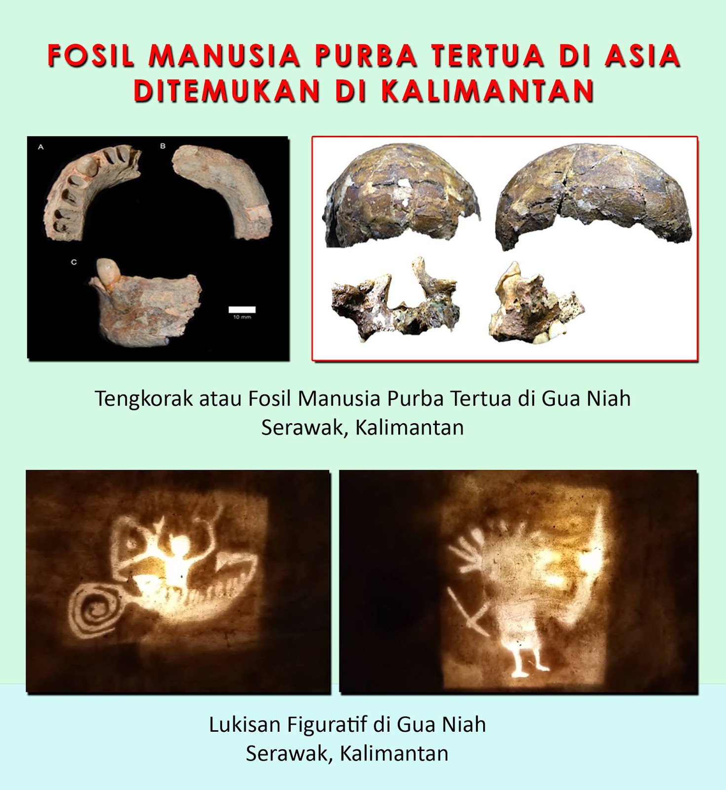 Tomi Poesaka Kapoeas: FOSIL MANUSIA PURBA TERTUA DI ASIA DITEMUKAN DI
