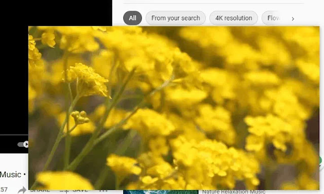 How to Enable Picture in Picture Mode in Microsoft Edge-3 Browser How to Enable Picture in Picture Mode in Microsoft Edge-3 Browser