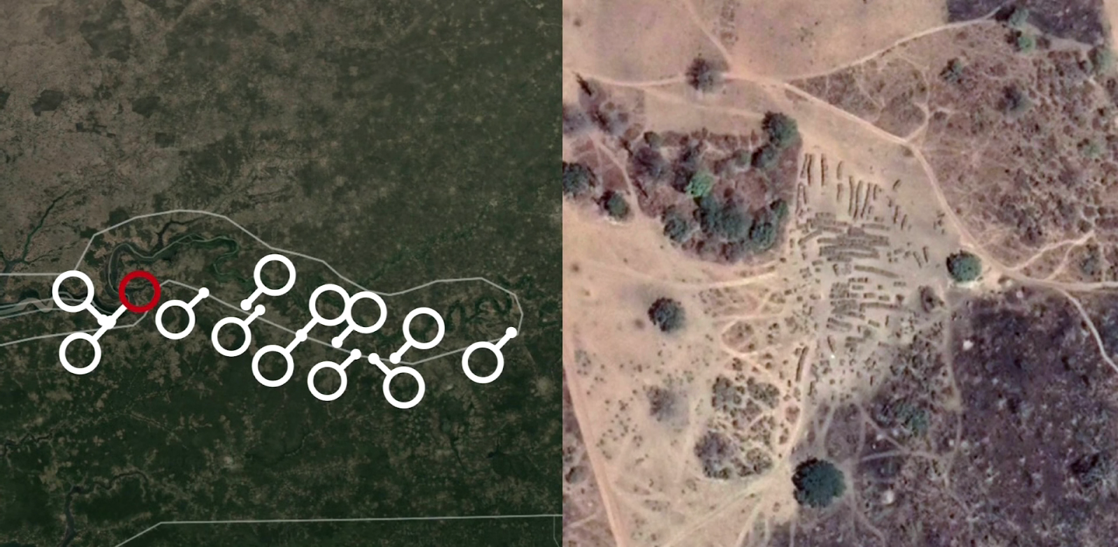 Asadal BBC Our World The Trees that Bleed (2020)