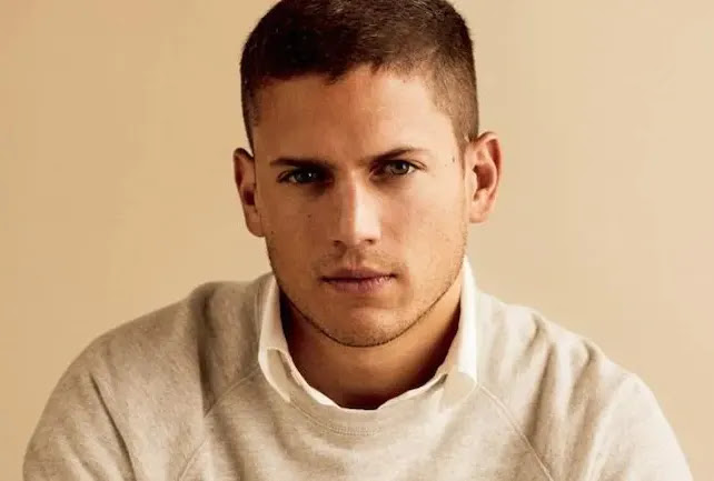 Net Worth of Wentworth Miller