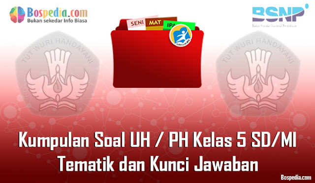 Kumpulan Soal UH / PH Kelas 5 SD/MI Tema 1, 2, 3, 4, 5, 6, 7, 8, 9 dan Kunci Jawaban