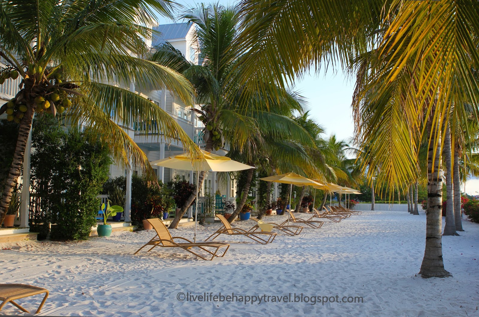 Life and Coconuts Parrot Key Resort A Tranquil Oasis in the Heart of