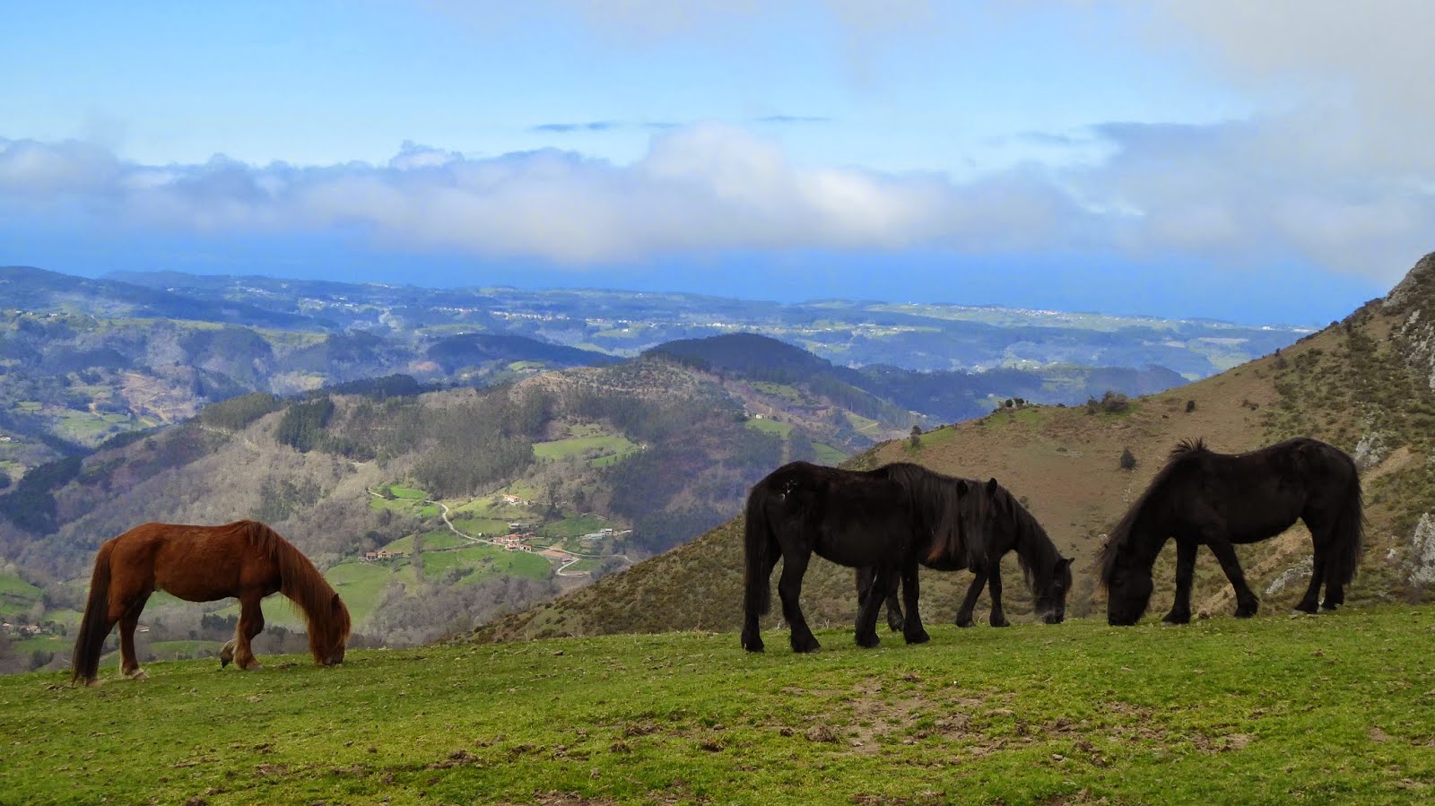CAMINO AL ANDAR POR LAS CUENCAS MINERAS