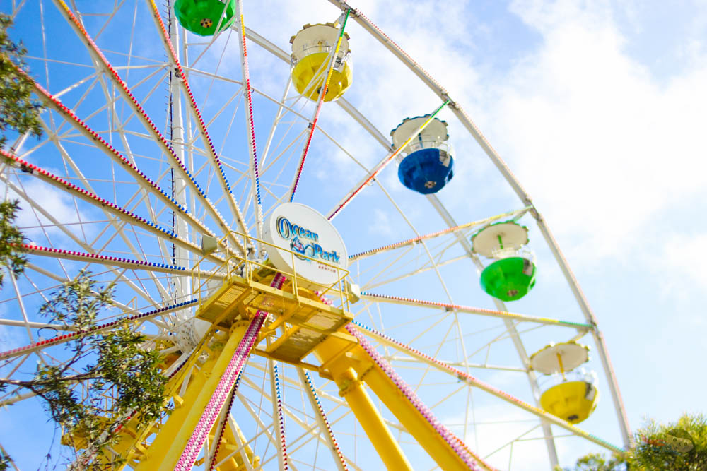 Experiencing Ocean Park Adventures in Hong Kong Wander Kid Travels