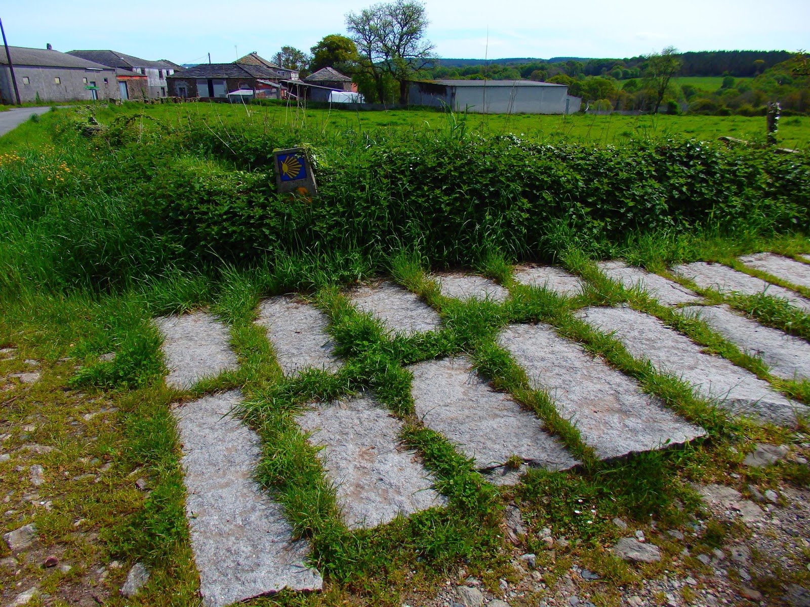 Xurde Morán XENDE, O PARAÑO Y SENANDE LAS MONJAS DE VILAR DE DONAS Y