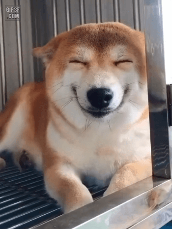 gifsf.com_0024.gif