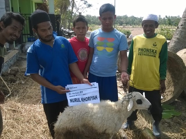 Penyembelihan Hewan Qurban di Pondok