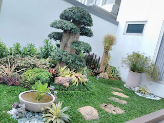 Taman dengan bonsai