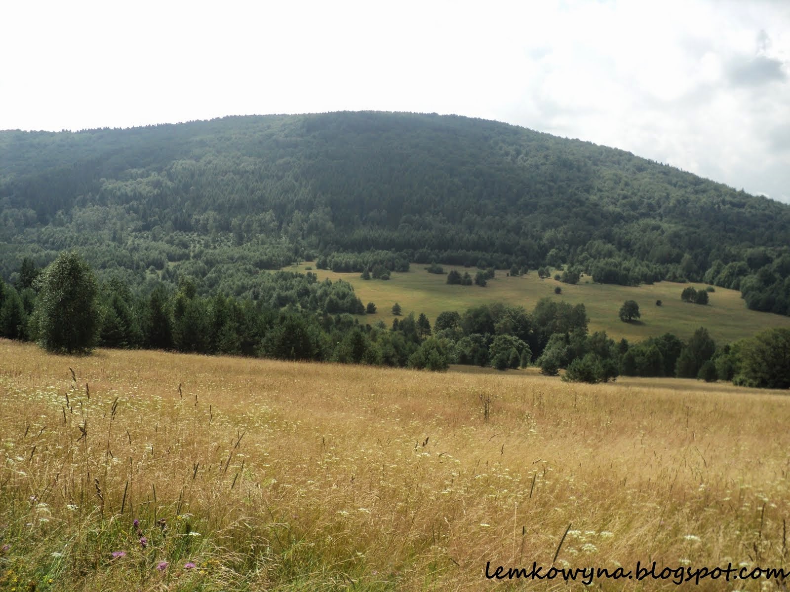 Bieliczna. Widok na Lackową