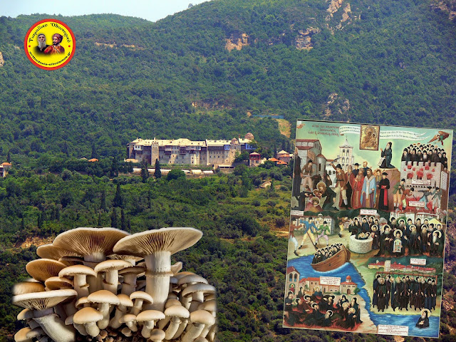 Ῥωμαίϊκο Ὁδοιπορικό: Τά 40 μανιτάρια ποὺ φύτρωναν κατὰ τὴν πανήγυρη τῶν Ἁγίων Τεσσαράκοντα κάτω ἀπὸ τὴν Ἁγία Τράπεζα δὲν ξαναβγῆκαν, ὅταν στὴν Μονή Ξηροποτάμου δέχθηκαν τὴν ἕνωση τῶν Ἐκκλησιῶν