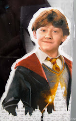 hermione granger mattel wizarding doll ron toy eyebrows smirk