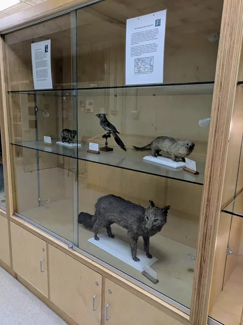Things to see in Galway: Darwin specimens at the NUI Galway Zoology and Marine Biology Museum