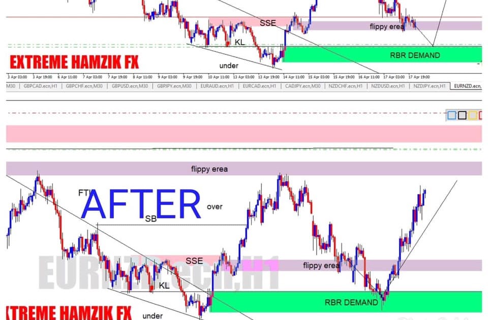 HLZ Forex course free download high liquidity zone forex course