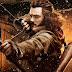 Banners de la película "El Hobbit: La Desolación de Smaug"