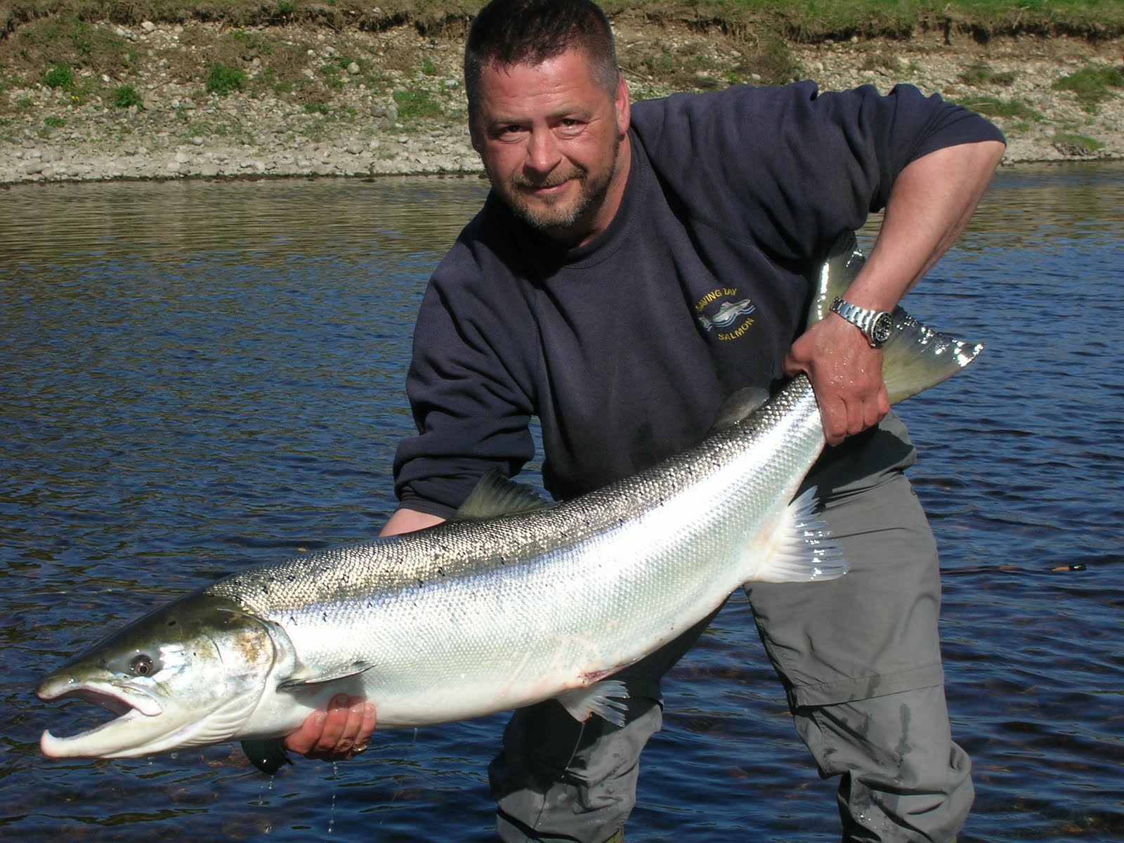 Salmon Fishing Scotland. Salmon Fishing Scotland Big Spring Salmon on