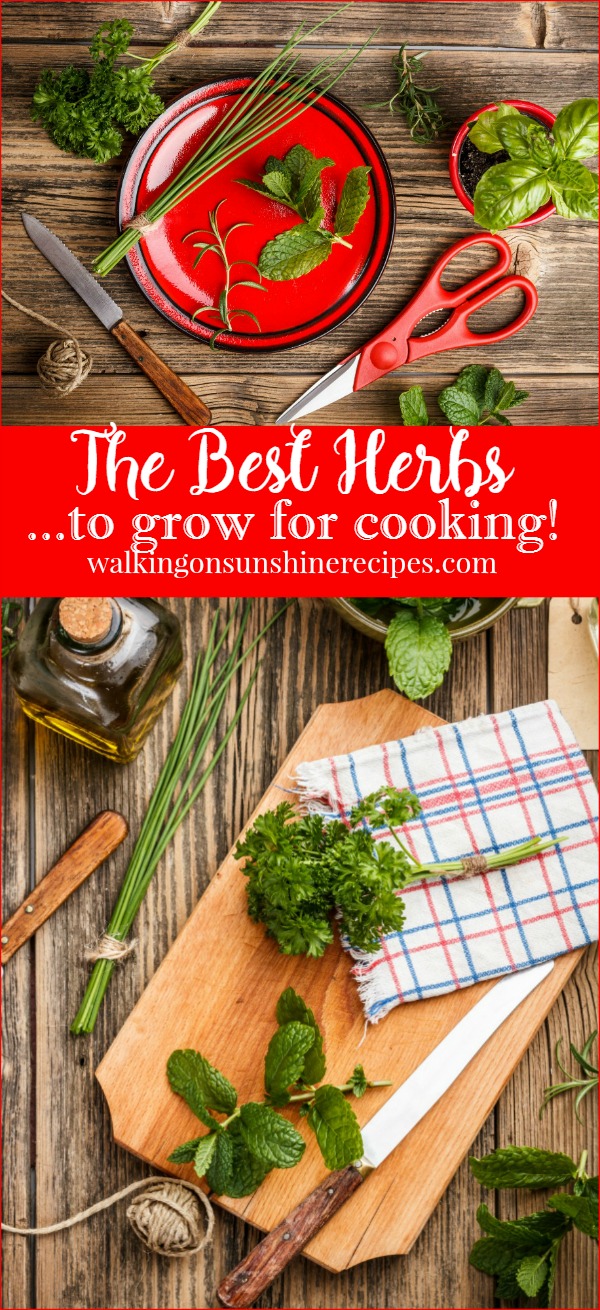 Gardening The Best Herbs to Grow for Cooking Walking on Sunshine