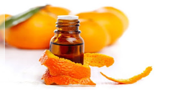 Laranja: o óleo essencial da Alegria