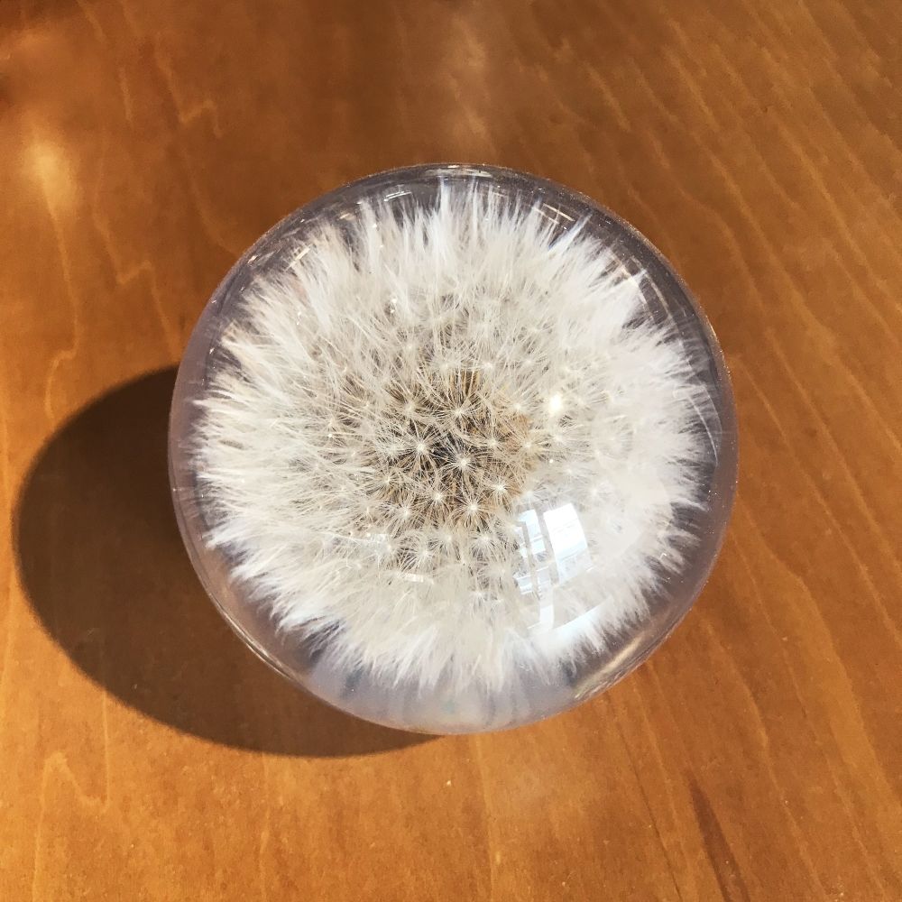 TAEYOON – 여기에 – Single