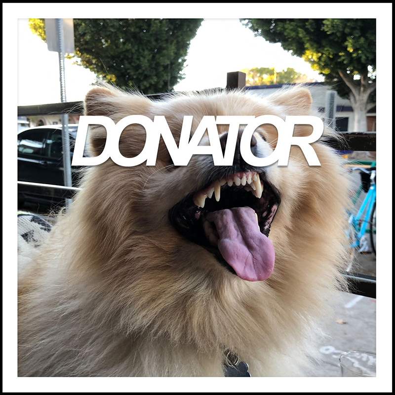 Donator pushes bold buttons making synth waves crash on "Dog of The Year" 