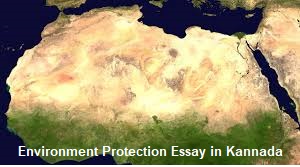 Environmental protection essay