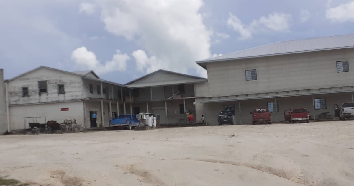 Mennonites in Belize