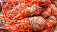 Bakso lobster cibitung yang sedang viral