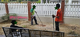 Dekorasi Laman | Tanam rumput karpet filipina bagi memperindah halaman rumah