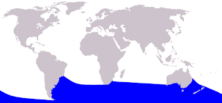 Arnoux gagalı balinasının yayılım haritası
