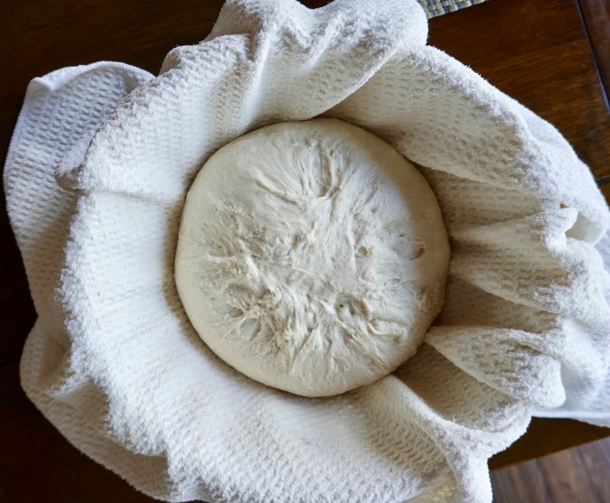 White rye bread shaped into a ball and placed in a towel lined bowl