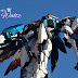Painted Build: HiRM 1/100 Wing Gundam EW